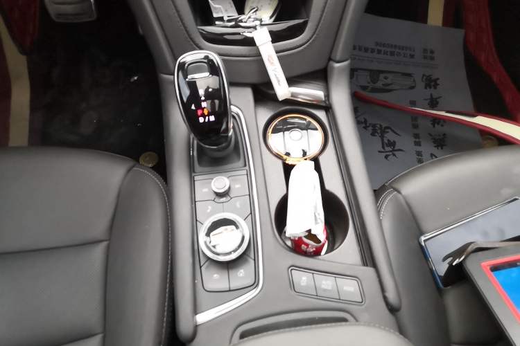 Used Cadillac XT5 2024 2.0T All-Wheel-Drive Luxury Version (Hummingbird Edition) Gear Lever