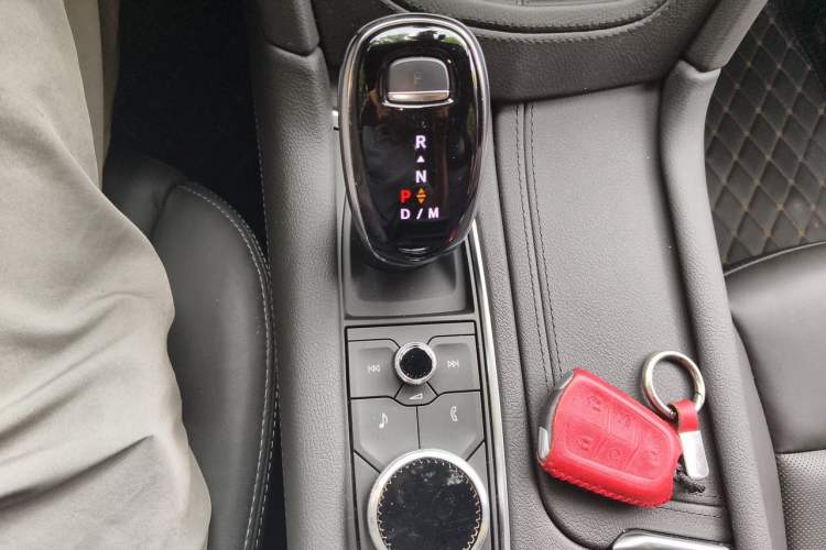 Used Cadillac XT5 2024 2.0T All-Wheel-Drive Luxury Version (Hummingbird Edition) Gear Lever