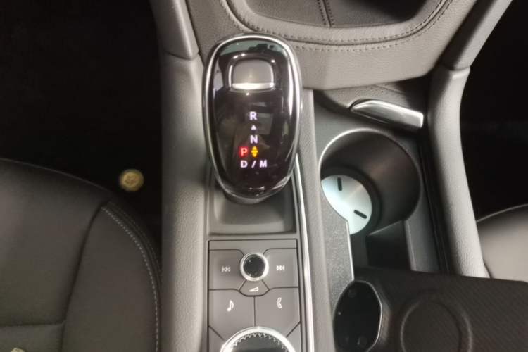 Used Cadillac XT5 2024 2.0T All-Wheel-Drive Luxury Version (Hummingbird Edition) Gear Lever