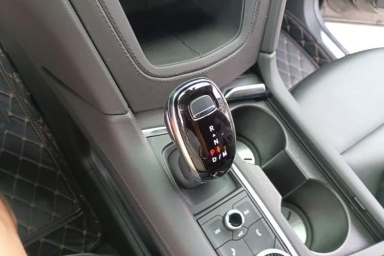 Used Cadillac XT5 2024 2.0T All-Wheel-Drive Luxury Version (Hummingbird Edition) Gear Lever