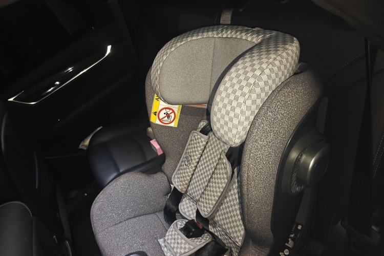 Used Cadillac XT5 2024 2.0T All-Wheel-Drive Luxury Version (Hummingbird Edition) Left Rear Seat