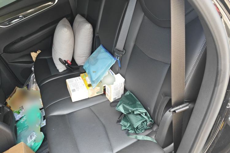 Used Cadillac XT5 2024 2.0T All-Wheel-Drive Luxury Version (Hummingbird Edition) Left Rear Seat