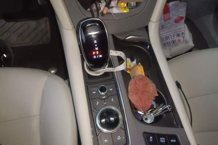 Used Cadillac XT5 2024 2.0T All-Wheel-Drive Luxury Version (Hummingbird Edition) Gear Lever