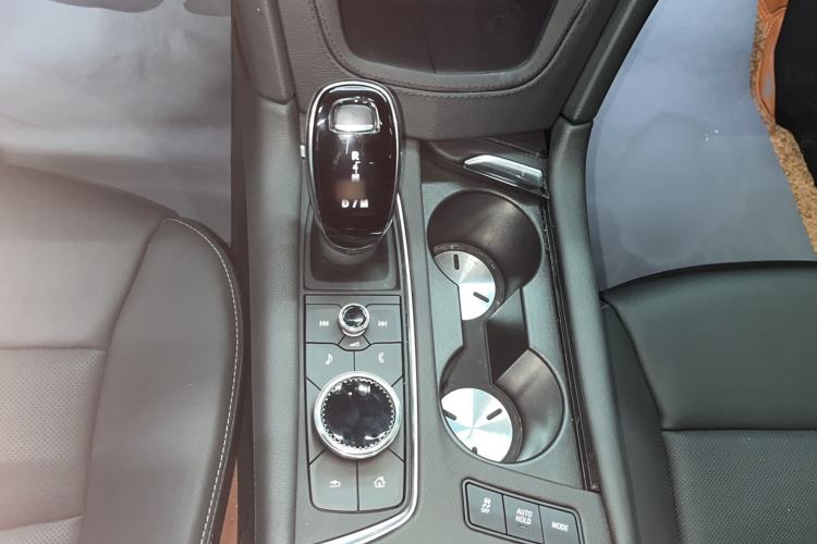Used Cadillac XT5 2024 2.0T All-Wheel-Drive Luxury Version (Hummingbird Edition) Gear Lever