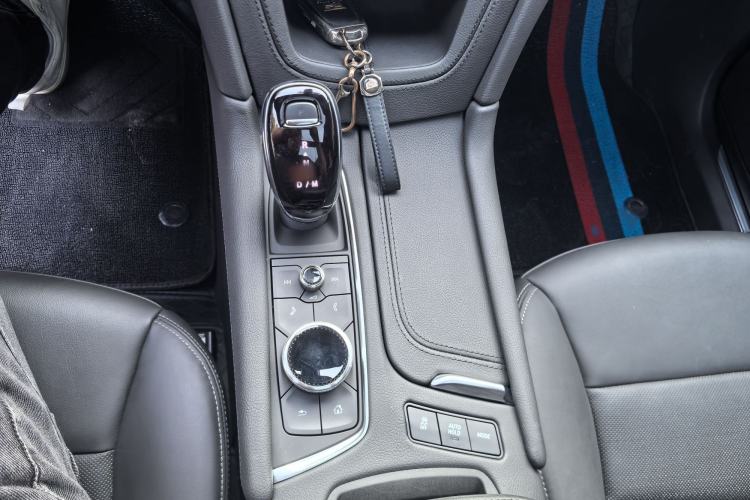Used Cadillac XT5 2024 2.0T All-Wheel-Drive Luxury Version (Hummingbird Edition) Gear Lever
