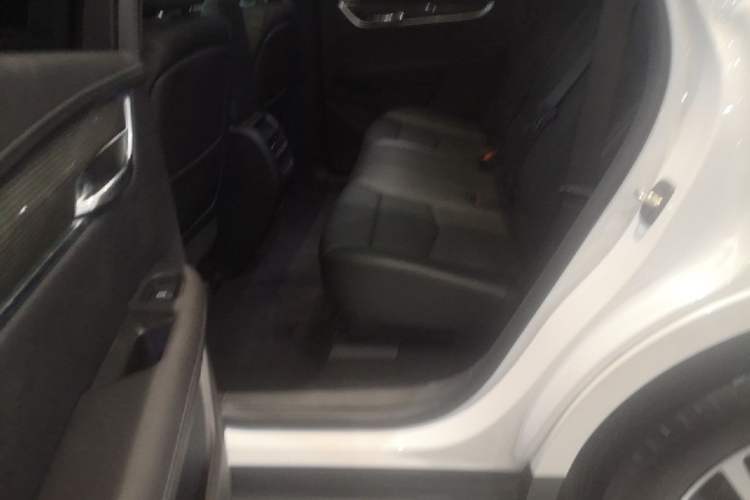 Used Cadillac XT5 2024 2.0T All-Wheel-Drive Luxury Version (Hummingbird Edition) Left Rear Seat