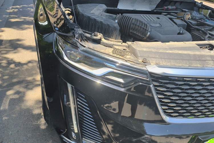 Used Cadillac XT6 2021 2.0T Six-Seater Four-Wheel-Drive Luxury Version Right Front Headlight