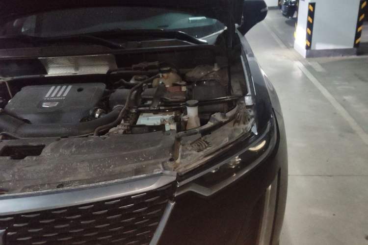 Used Cadillac XT6 2021 2.0T Six-Seater Four-Wheel-Drive Luxury Version Engine Bay Left