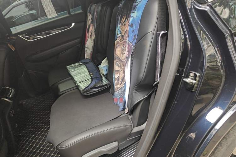 Used Cadillac XT6 2021 2.0T Six-Seater Four-Wheel-Drive Luxury Version Left Rear Seat