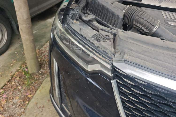 Used Cadillac XT6 2021 2.0T Six-Seater Four-Wheel-Drive Luxury Version Right Front Headlight