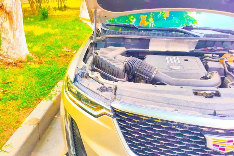 Used Cadillac XT6 2021 2.0T Six-Seater Four-Wheel-Drive Luxury Version Engine Bay Right