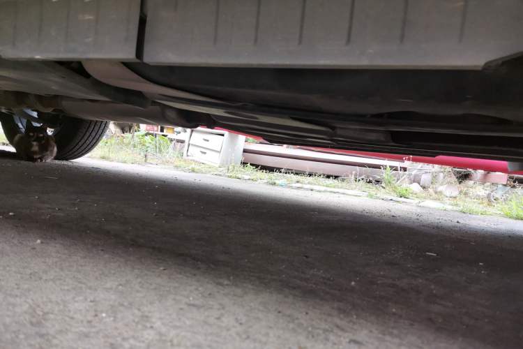 Used Cadillac XT6 2022 2.0T Six-Seater Four-Wheel Drive Luxury Version Chassis Rear Left