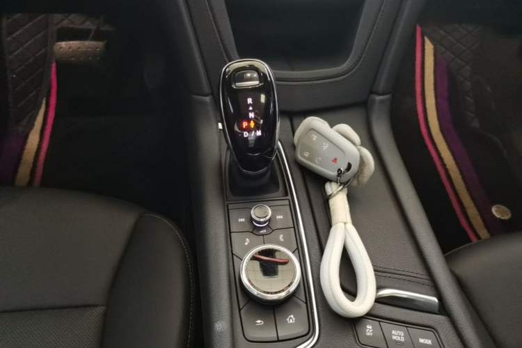 Used Cadillac XT6 2022 2.0T Six-Seater Four-Wheel Drive Luxury Version Gear Lever