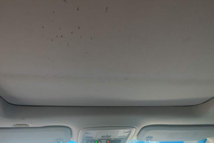 Used Cadillac XTS 2013 28T Elite Edition Headliner