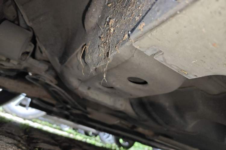Used Cadillac XTS 2014 28T Comfort Version Chassis Front Left