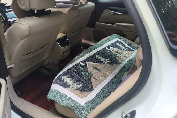 Used Cadillac XTS 2014 28T Comfort Version Left Rear Seat