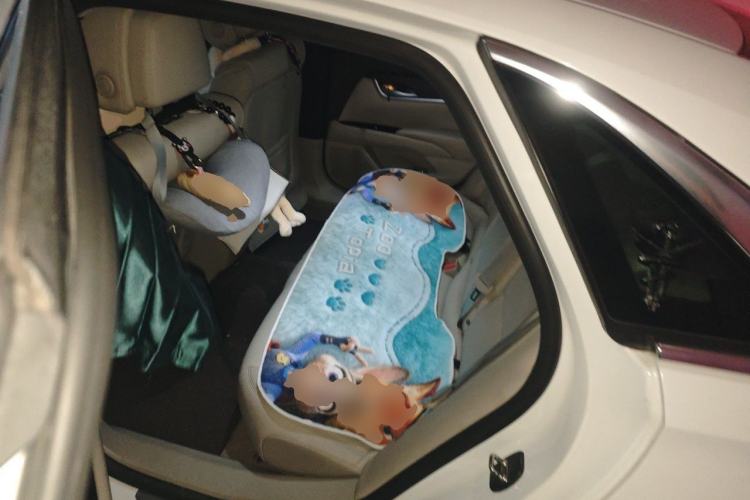 Used Cadillac XTS 2014 28T Comfort Version Left Rear Seat