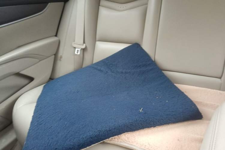Used Cadillac XTS 2017 28T Tech Edition Left Rear Seat