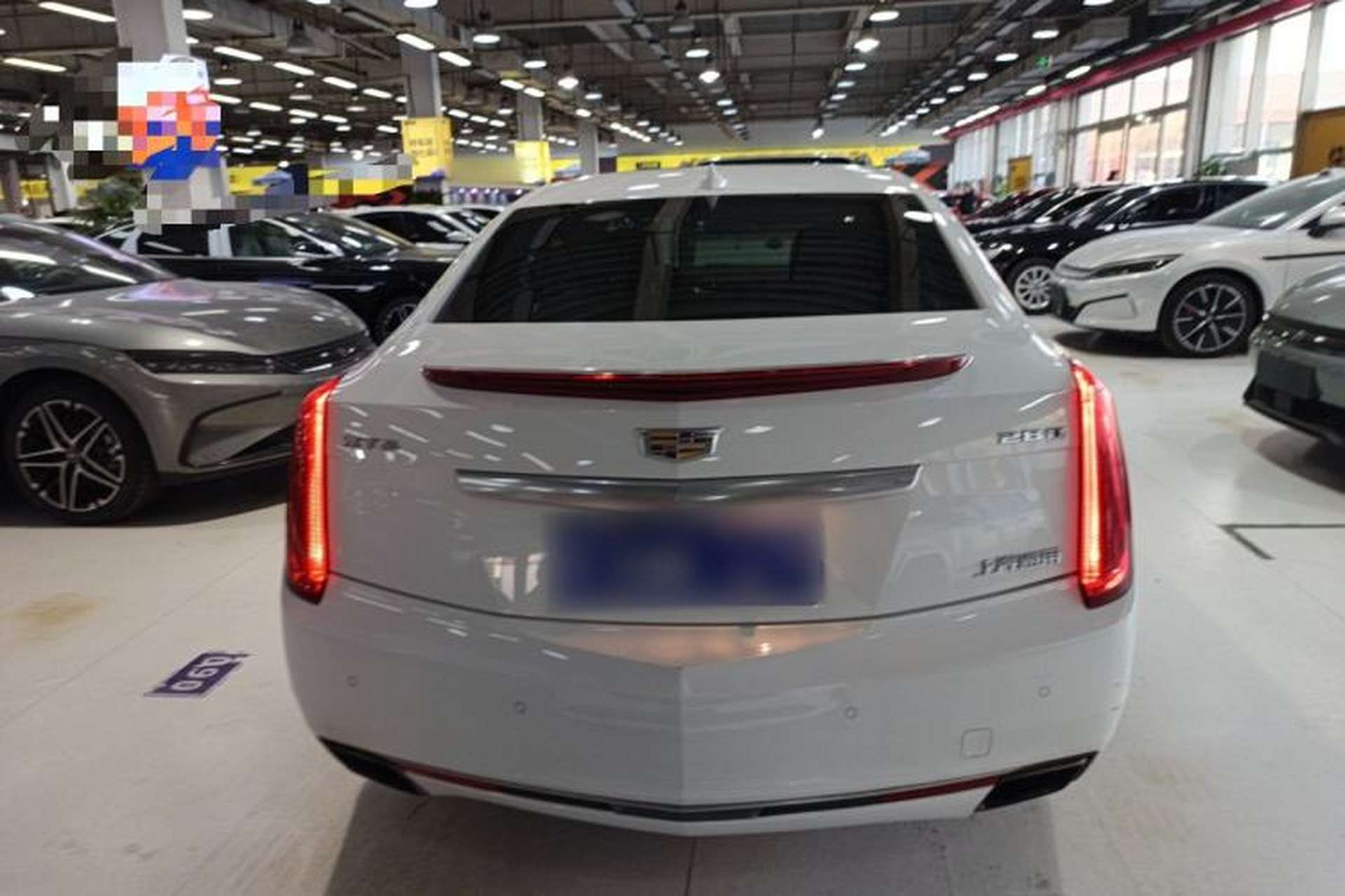 Used Cadillac XTS 2017 28T Tech Edition Rear