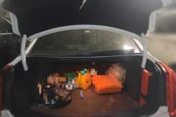 Thumbnail 20