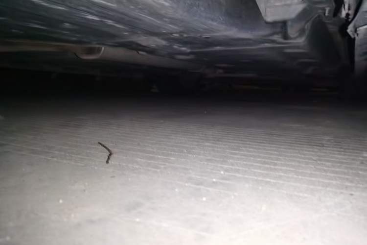 Used Cadillac XTS 2018 28T Tech Edition Chassis Rear Right