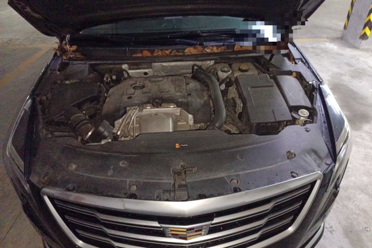 Used Cadillac XTS 2018 28T Tech Edition Engine Bay