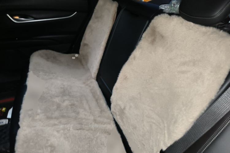Used Cadillac XTS 2018 28T Tech Edition Left Rear Seat