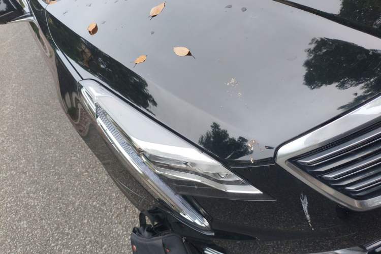 Used Cadillac XTS 2018 28T Elite Edition Right Front Headlight