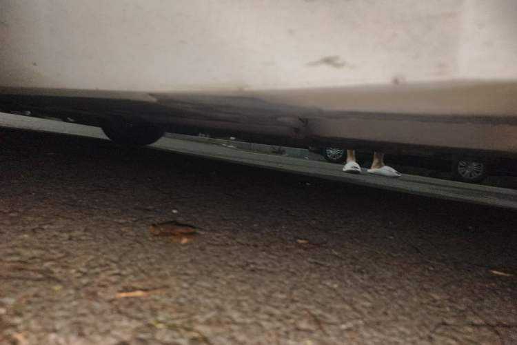 Used Cadillac XTS 2018 28T Tech Edition Chassis Rear Left