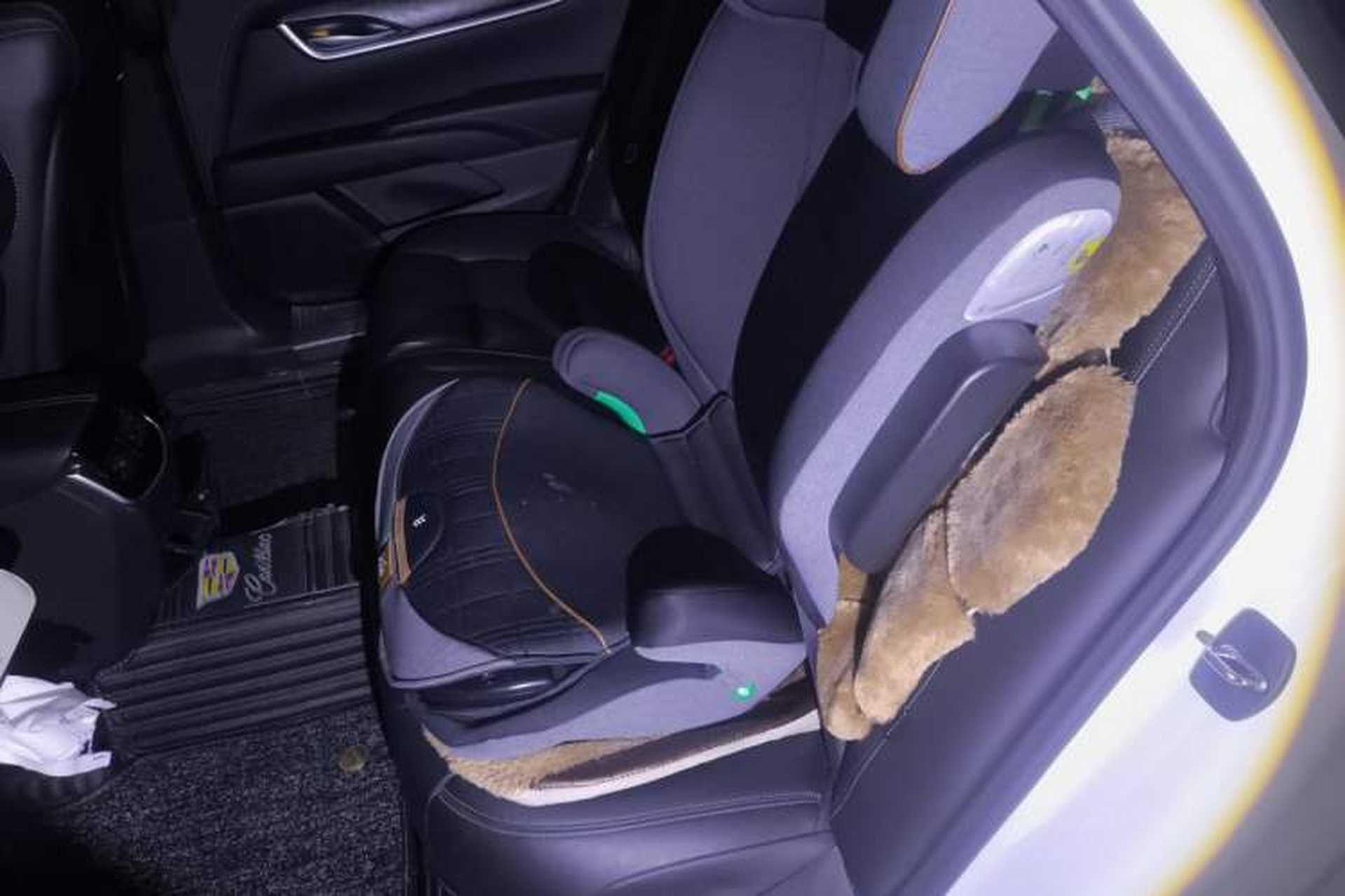 Used Cadillac XTS 2018 28T Elite Edition Left Rear Seat