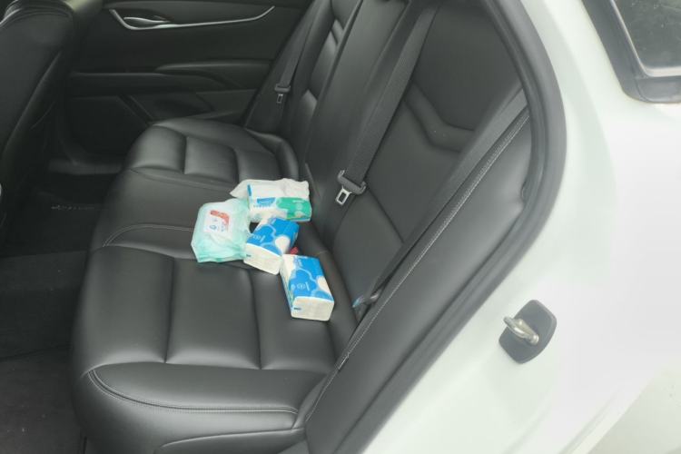 Used Cadillac XTS 2018 28T Tech Edition Left Rear Seat