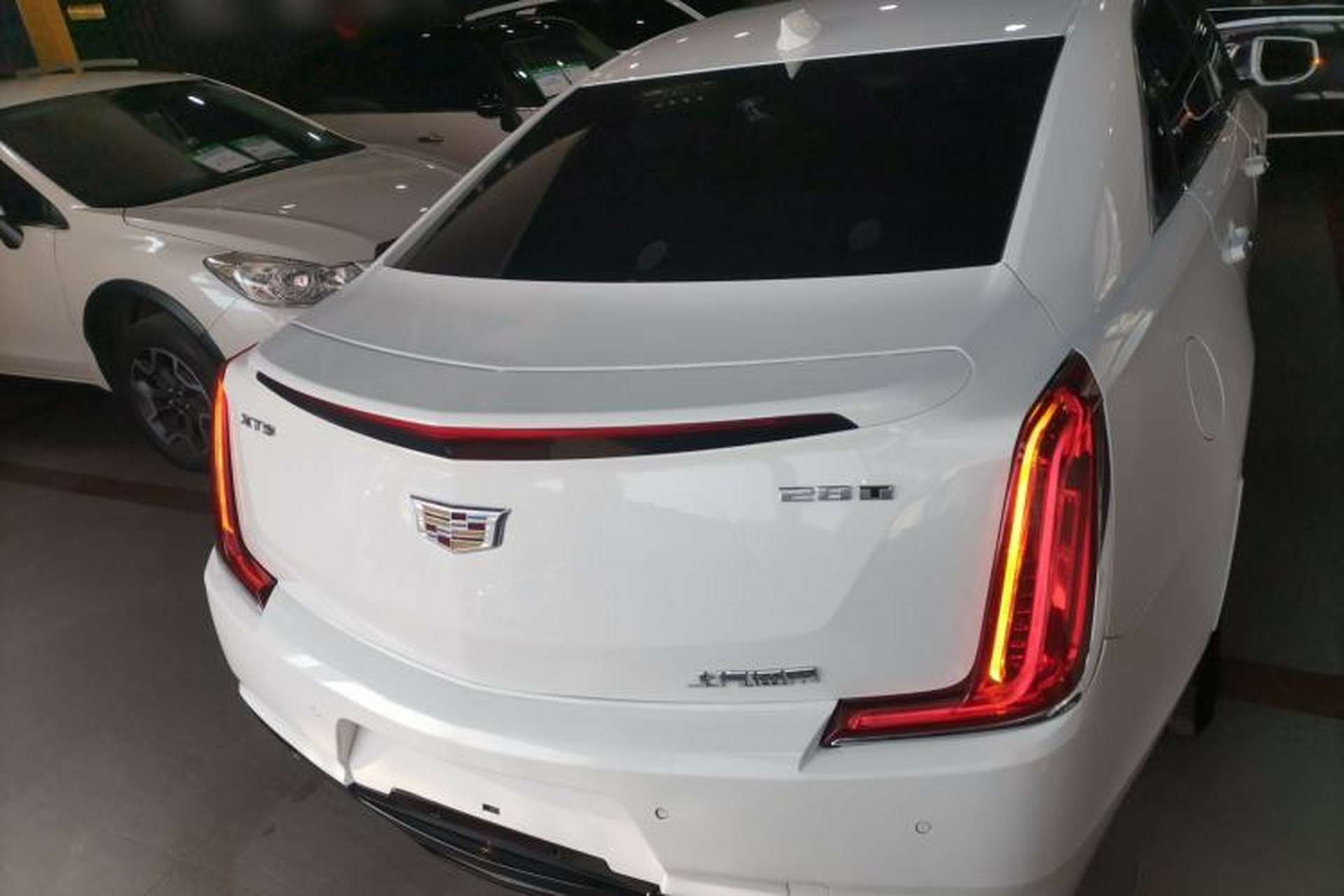 Used Cadillac XTS 2018 28T Elite Edition Rear