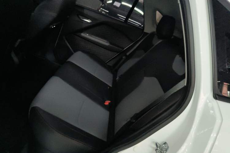 Used Cao 60 2024 60 Pro Left Rear Seat