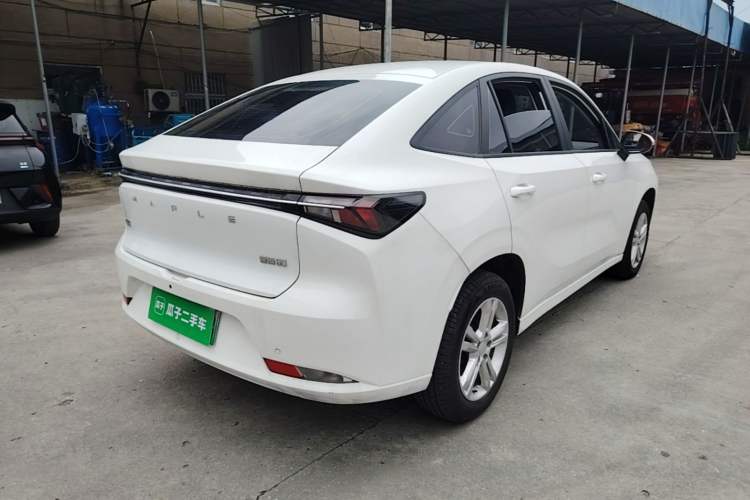 Used Cao 60 2024 - Travel Edition Rear Right 45 Deg