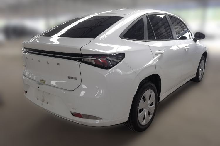 Used Cao 60 2024 - Travel Edition Rear Right 45 Deg