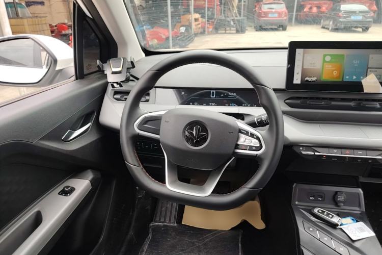 Used Cao 60 2024 - Travel Edition Steering Wheel