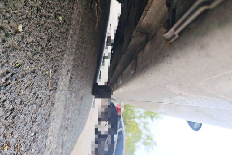 Used CHANGAN Alsvin 2019 1.5L DCT Comfort Model China VI Standard Chassis Rear Right
