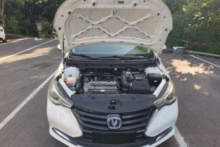Used CHANGAN Alsvin 2019 1.5L DCT LianDong Cloud Edition Engine Bay