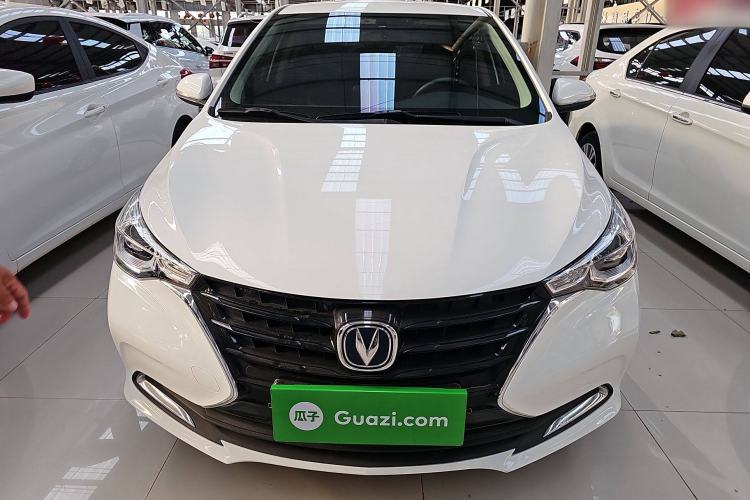 Used CHANGAN Alsvin 2019 1.4L Manual Comfort Edition China VI Standard Exterior 1