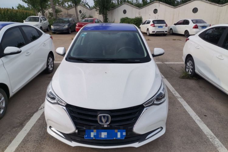 Used CHANGAN Alsvin 2019 1.5L DCT LianDong Cloud Edition Exterior 1