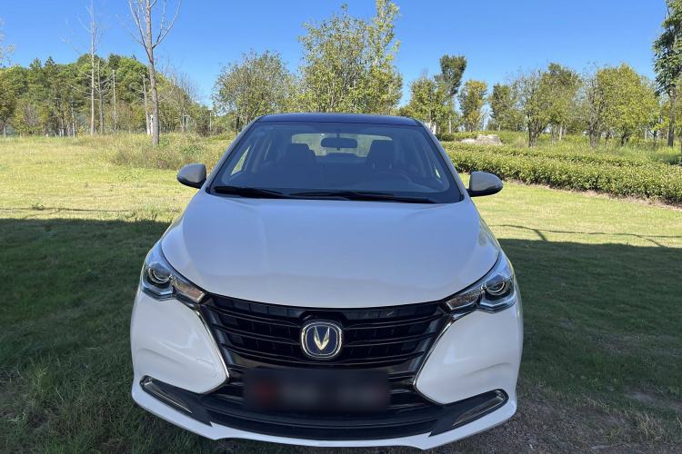 Used CHANGAN Alsvin 2019 1.5L DCT LianDong Cloud Edition Exterior 1