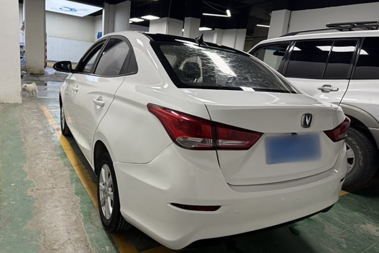 Used CHANGAN Alsvin 2019 1.5L DCT LianDong Cloud Edition Exterior 3