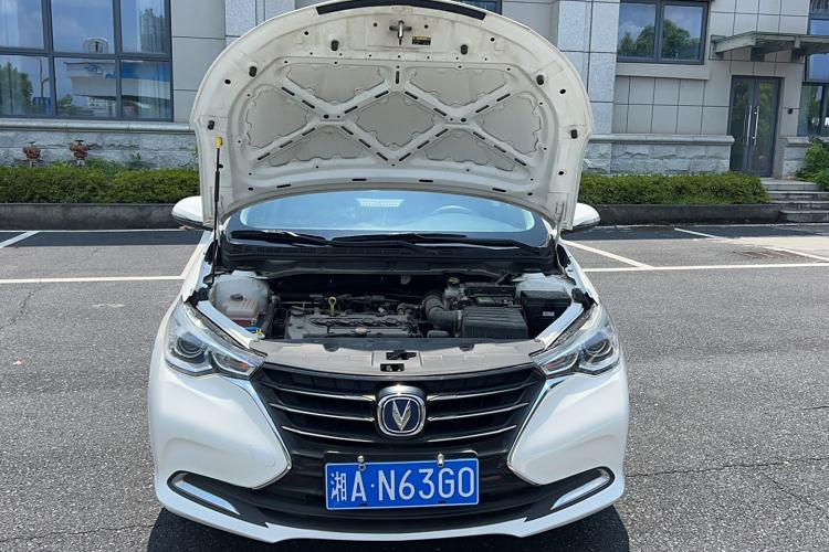 Used CHANGAN Alsvin 2019 1.5L DCT LianDong Cloud Edition Exterior 6