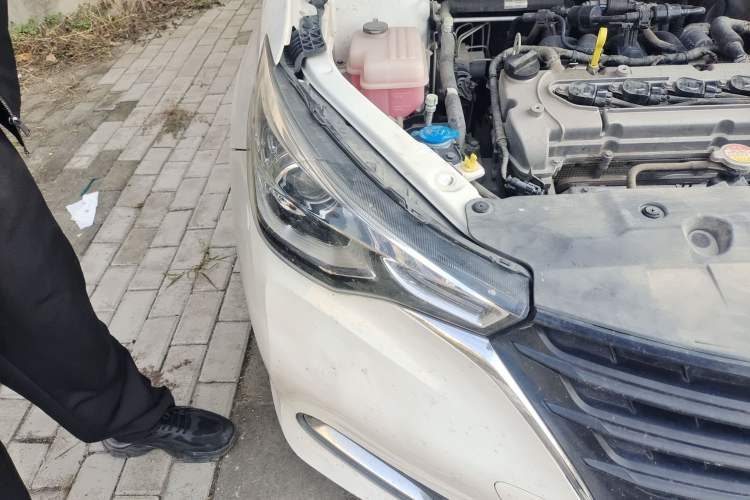 Used CHANGAN Alsvin 2019 1.4L Manual Comfort Edition China VI Standard Exterior 6
