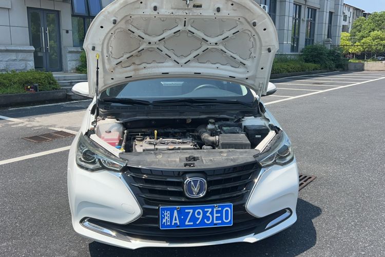 Used CHANGAN Alsvin 2019 1.5L DCT Comfort Model China VI Standard Exterior 8