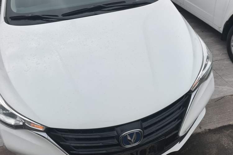 Used CHANGAN Alsvin 2019 1.5L DCT Comfort Model China VI Standard Front