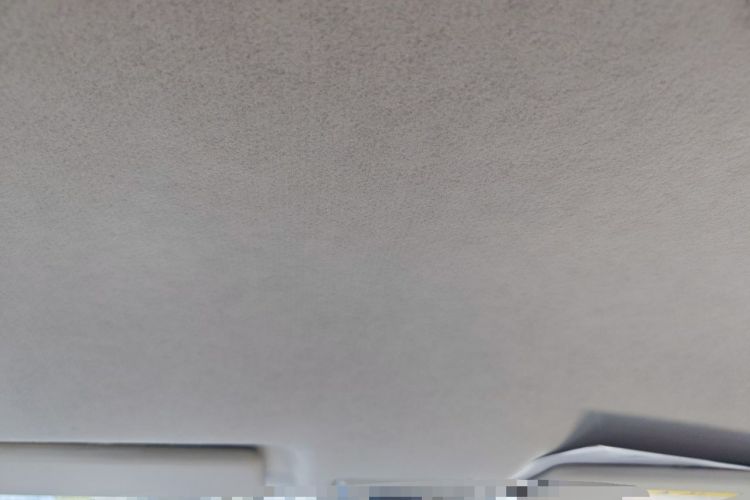 Used CHANGAN Alsvin 2019 1.5L DCT Comfort Model China VI Standard Headliner