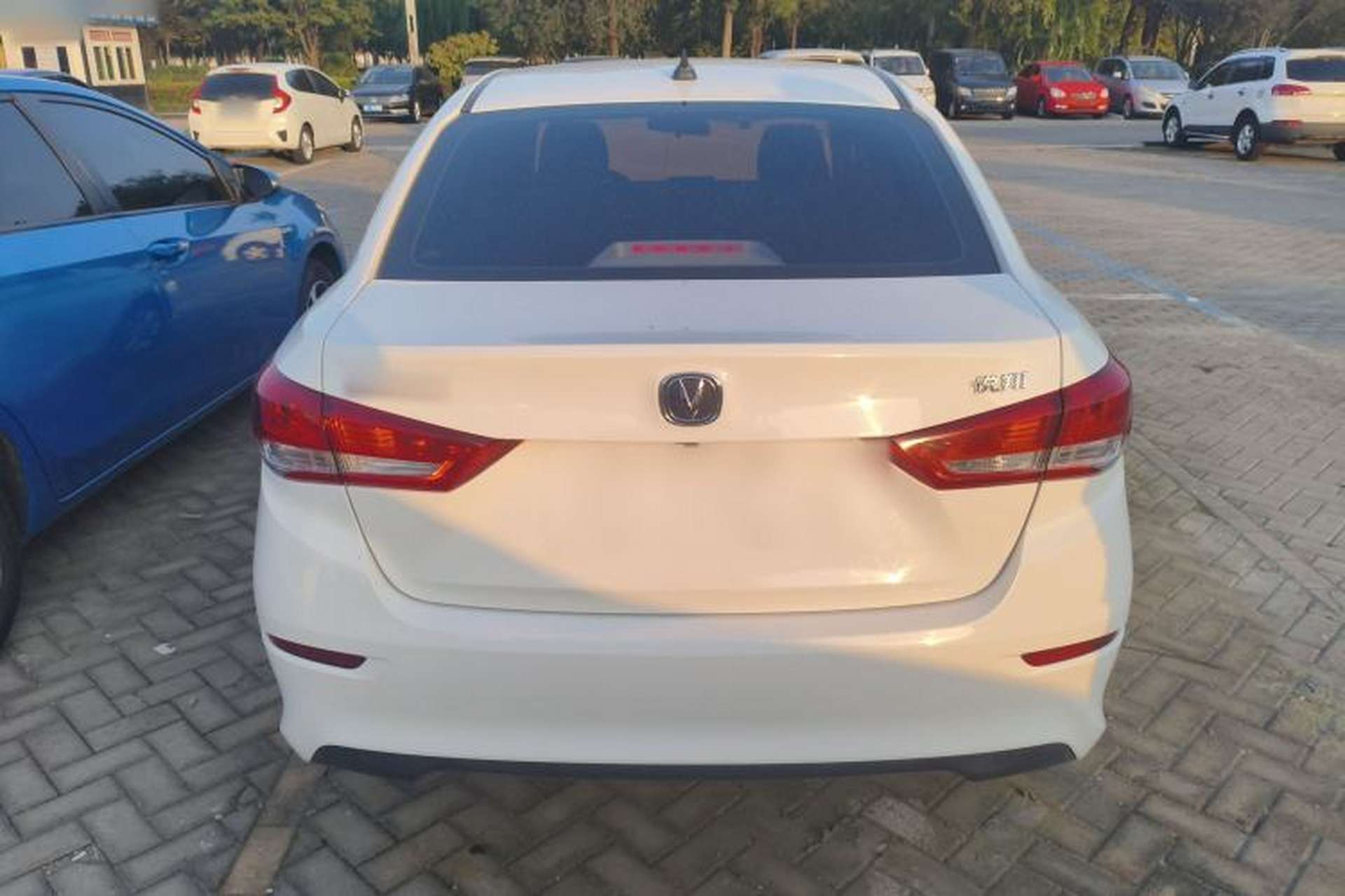 Used CHANGAN Alsvin 2019 1.4L Manual Comfort Edition China VI Standard Rear