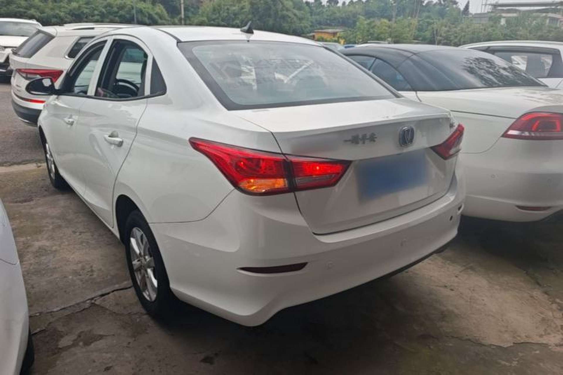 Used CHANGAN Alsvin 2019 1.5L DCT Luxury Version China VI Standard Rear Left 45 Deg