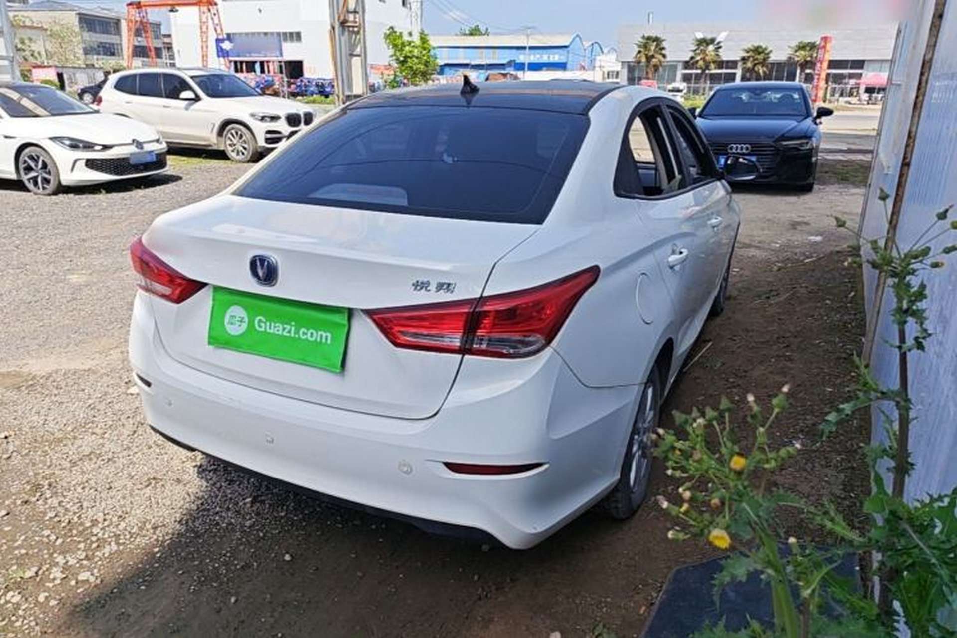 Used CHANGAN Alsvin 2019 1.5L DCT LianDong Cloud Edition Rear Right 45 Deg